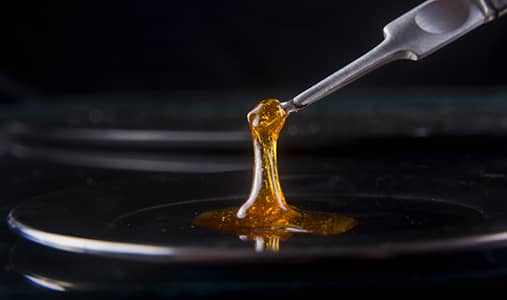 CBD concentrate