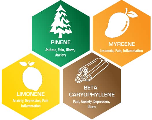 Terpene chart